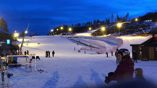 A skier enjoying the breathtaking winter scenery at Skimore Kongsberg, a renowned ski resort in Norway. The site exhibits stark winter charm, attributable to a prospering winter sports scene.